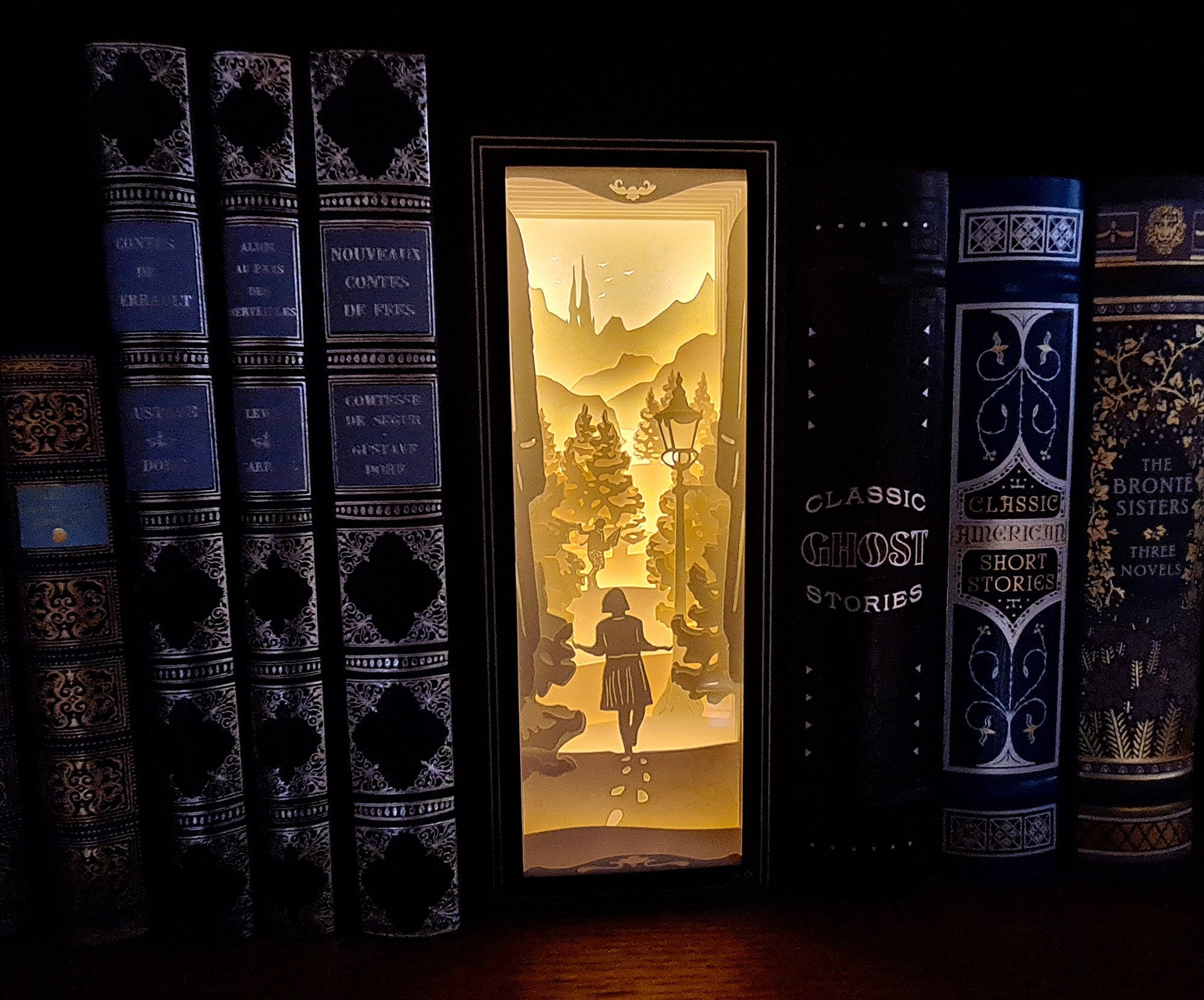 Les Chroniques de Narnia- Boîte à Lumière en Papier - Niche Bibliothèque Idée Cadeau Décoration -