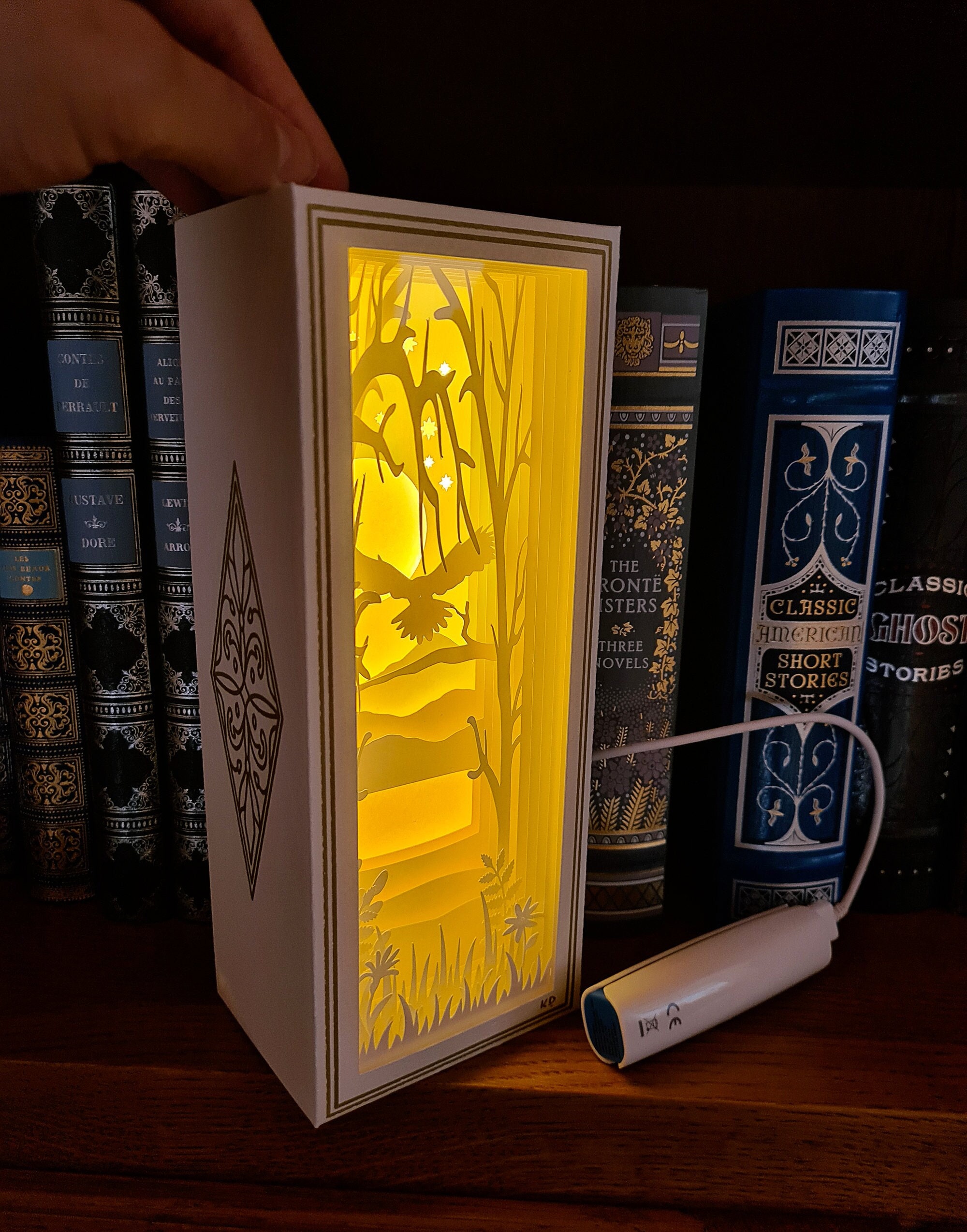 L'aigle - Boîte à Lumière en Papier Niche de Bibliothèque Idée Cadeau Décoration Cadeau Anniversaire