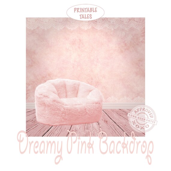 Pink Room Backdrop With Fluffy Chair Photography Back Drop 50