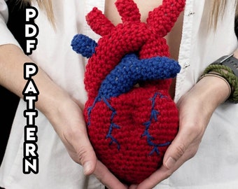 Crochet Pattern Anatomical Heart Surgery Trophy, Digital PDF Crochet Anatomical Heart Pattern, Crochet Your Own Heart