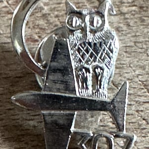 May include: A silver-toned metal lapel pin featuring an owl perched on top of an airplane silhouette. Behind the owl is a circular ring shape. The number 307 is embossed at the bottom of the pin. The design has a polished, reflective metallic finish.
