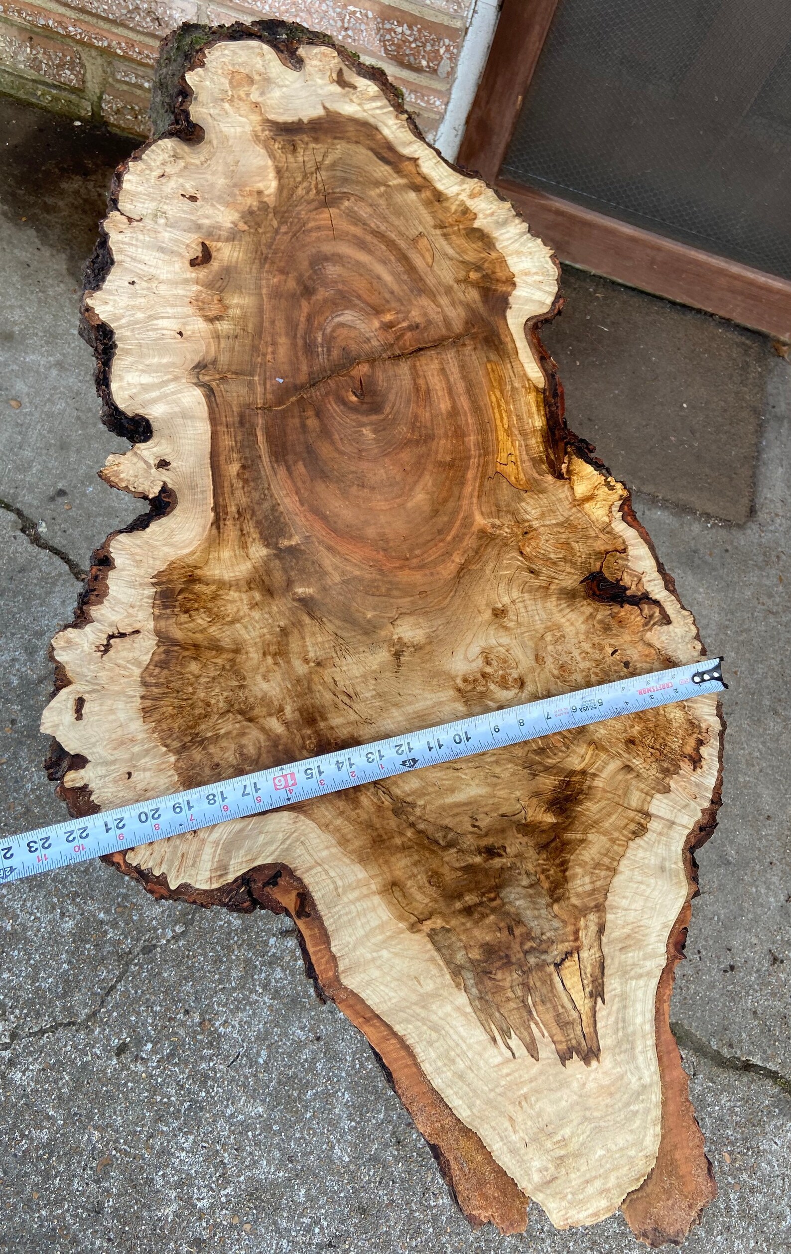 Premium Live Edge Maple Slab/ Burl Wood/ Spalted Maple/ Live | Etsy