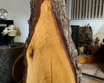 Live Edge Triangular Pecan WIDE Wood Slab with cupping, Beautiful Figured Bark Edge Unfinished Project Wood- see details- J&R