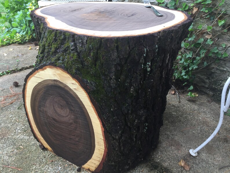 Black Walnut Premium Tree Section DIY Project Table Natural Etsy