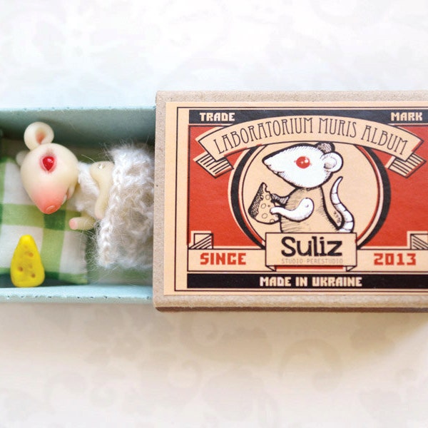 White mouse in a matchbox. Pocket friend. BJD. Matchbox toys. Polymer clay. Albino mouse. Kawaii BJD. Made to order