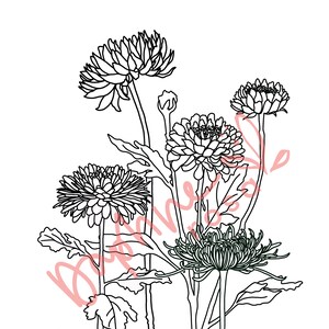 November Birth Flower Print Chrysanthemum Floral Art Print image 3