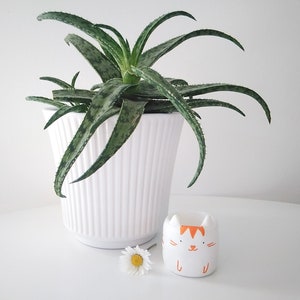 Peut inclure: Un pot en céramique blanche avec une plante d'aloe vera verte à l'intérieur. Une figurine de chat en céramique blanche avec des accents orange est posée sur une surface blanche.