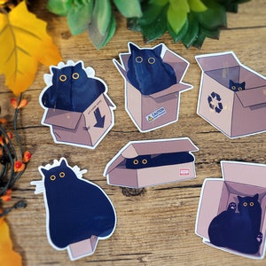 Box Cat Sticker Pack
