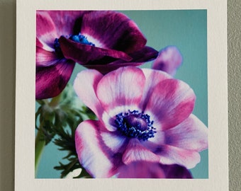 Photo artistique fleurie, deux anémones, petit format
