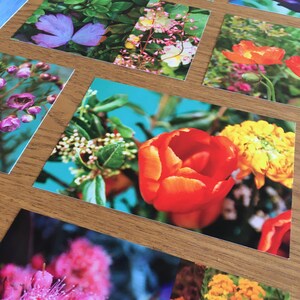 Lot de 5 cartes postales fleuries à choisir image 3