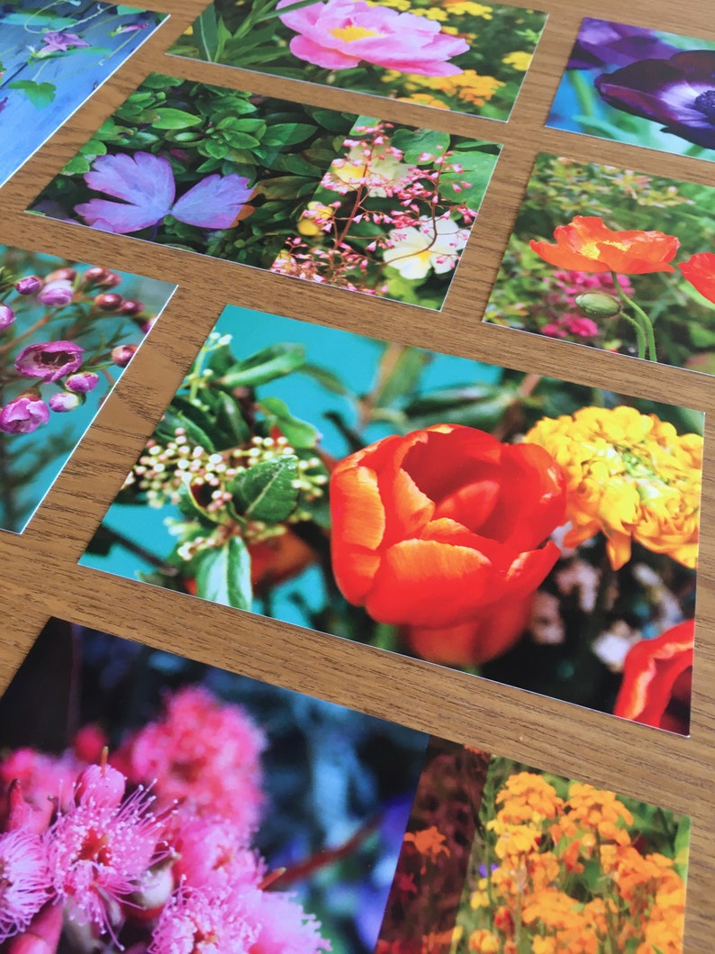 Lot de 5 cartes postales fleuries à choisir image 3