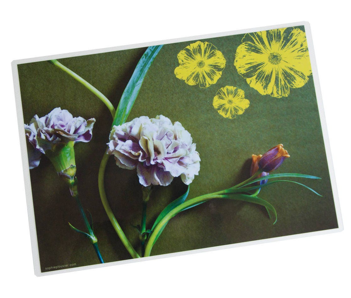 Set de Table Plastifié Photo Oeillets Roses et Dessin Fleurs Jaunes