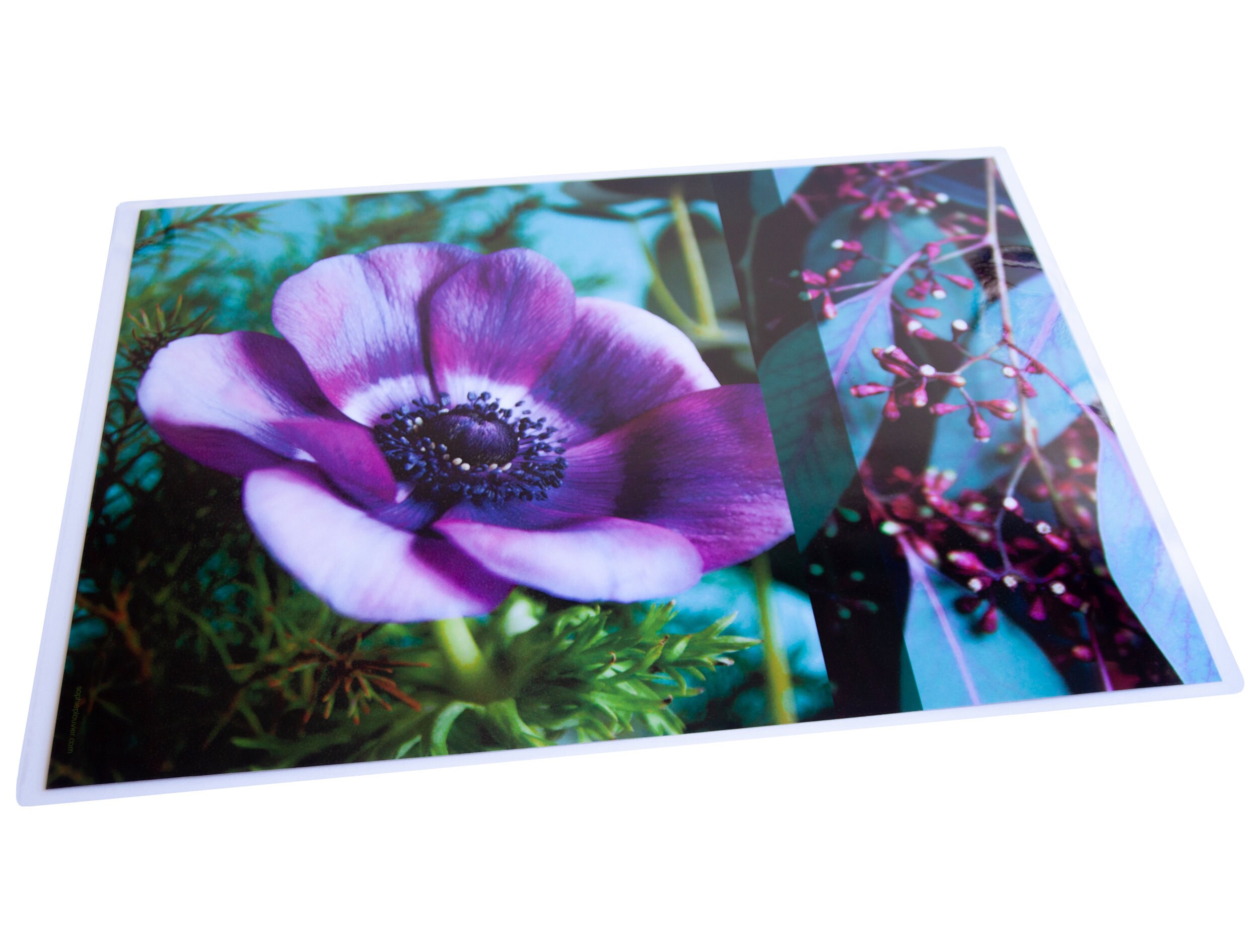 Set de Table Plastifié Anémone Violette, Eucalyptus Vert et Rouge