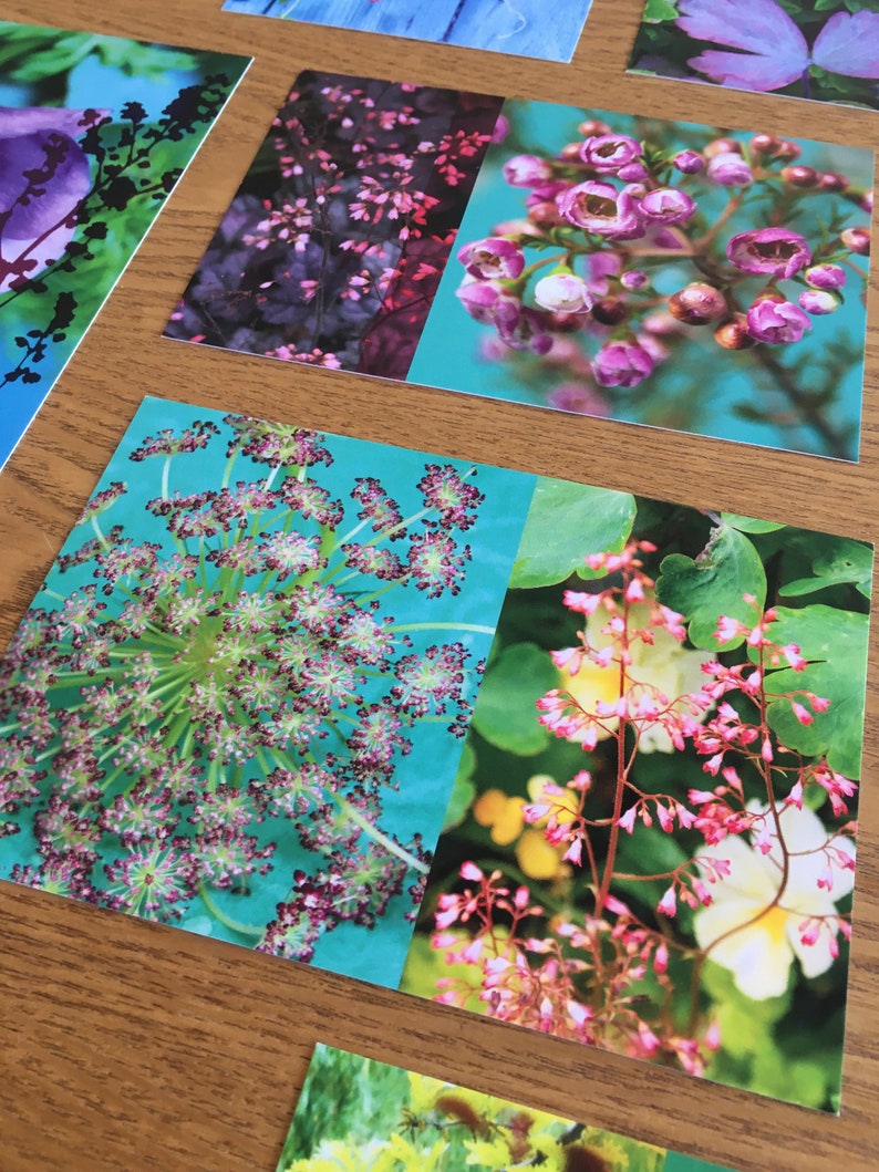Lot de 5 cartes postales fleuries à choisir image 2