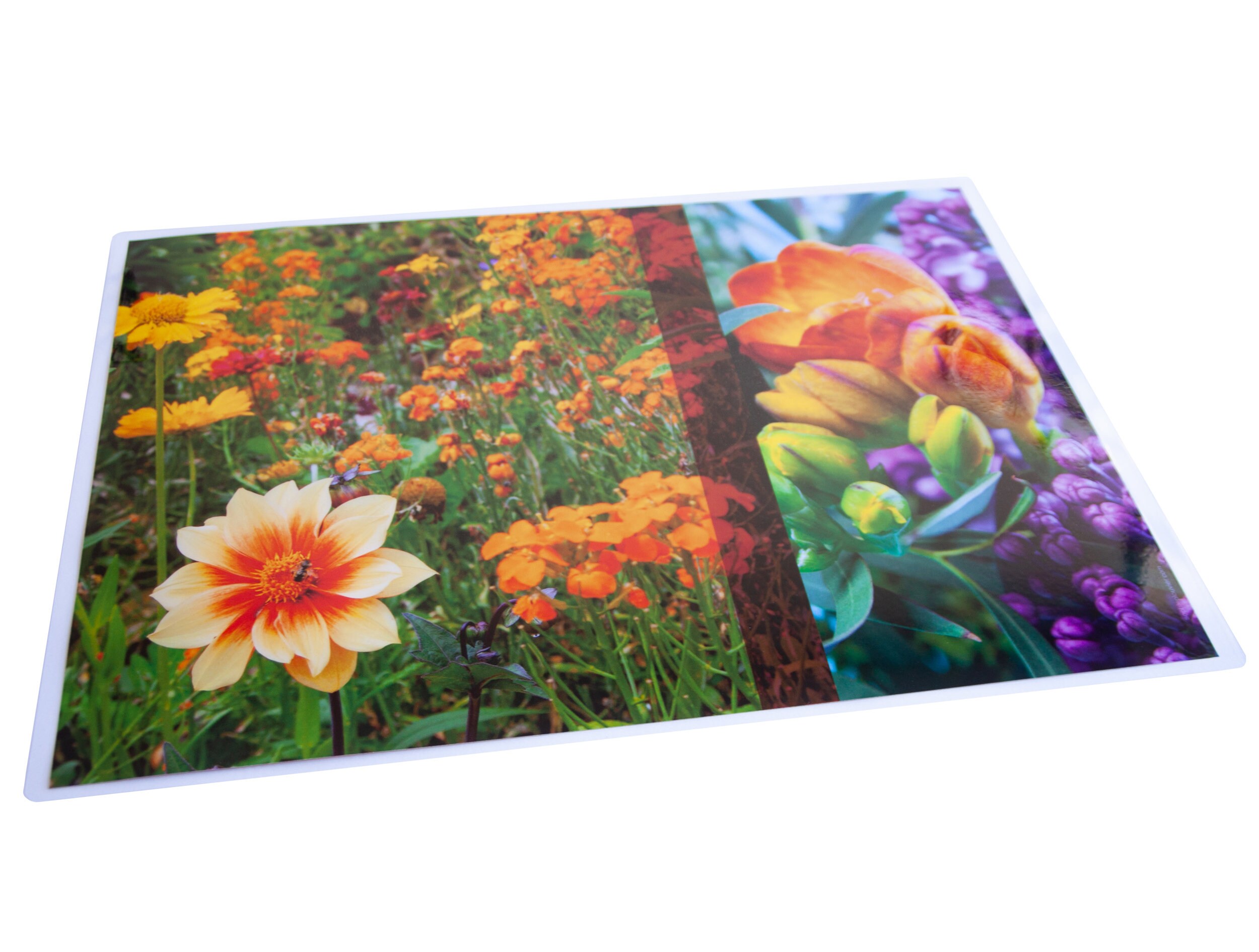 Set de Table Plastifié Frésias et Fleurs Champêtres