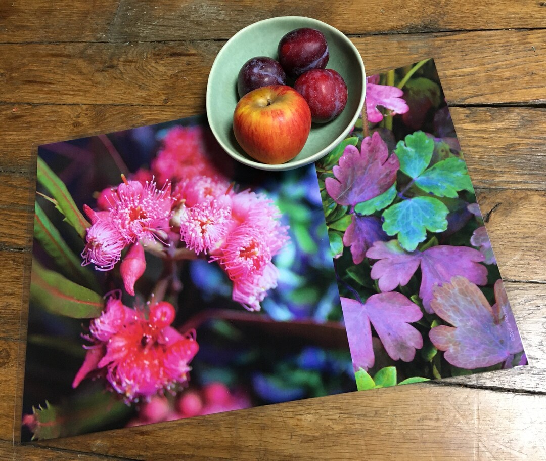 Vegetable Plastic Placemat Photo Eucalyptus Etsy UK