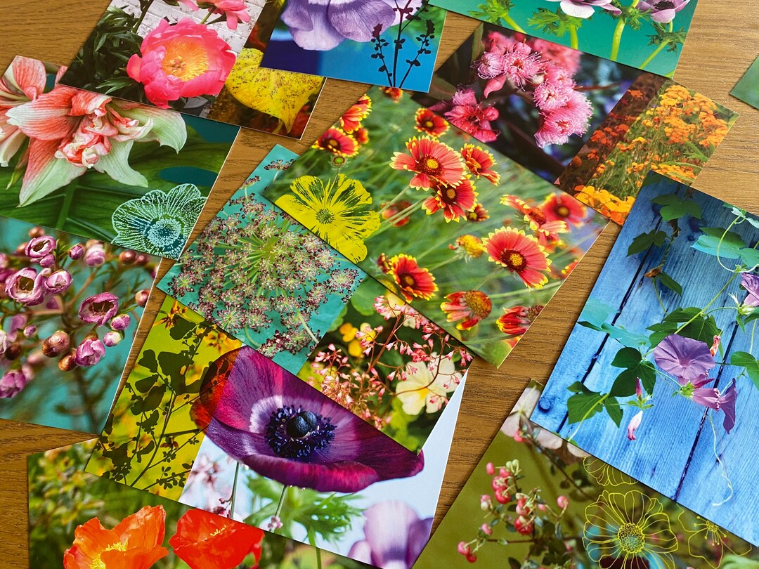 Set of 12 Floral Postcards to Choose From Among the 20 Cards Etsy
