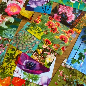 Lot de 12 cartes postales fleuries à choisir parmi les 20 cartes
