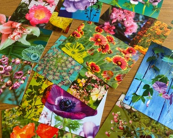 Lot de 12 cartes postales fleuries à choisir parmi les 20 cartes