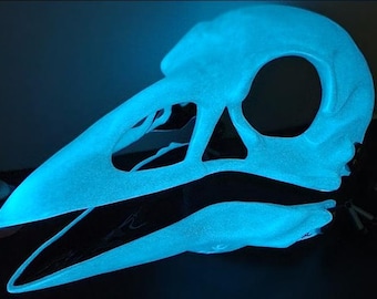 May include: A glowing blue bird skull made of resin. The skull is hollow and has a detailed design.