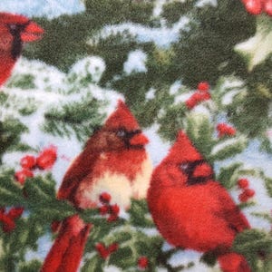 Louisville Cardinals Color Frosty Fleece Blanket