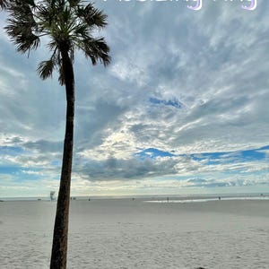 May include: A single palm tree stands tall on a white sandy beach with a blue sky and white clouds. The text "Resizing ring" is written in purple on the sky.