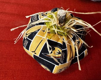 ANAHEIM DUCKS Kürbis, letzte Charge, nicht mehr erhältliches Design, NHL-Kürbis, Heimdeko, kleiner Entenkürbis