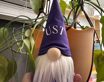 AANGEPASTE GNOME, aanpasbare kabouter, opstrijkbare hoeden, cadeau-ideeën, personaliseren