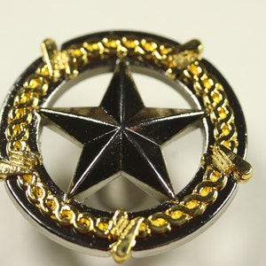 May include: A silver five-pointed star with a black center, surrounded by a gold chain-link border. The star is a popular symbol of Texas.