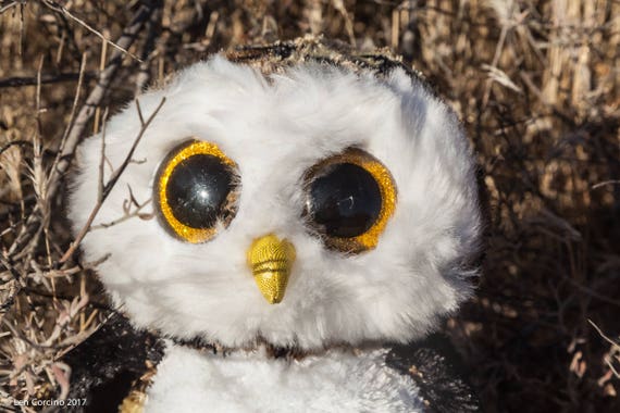 light up owl toy