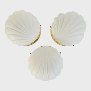 Scallop Shell Sconces - Set of Three
