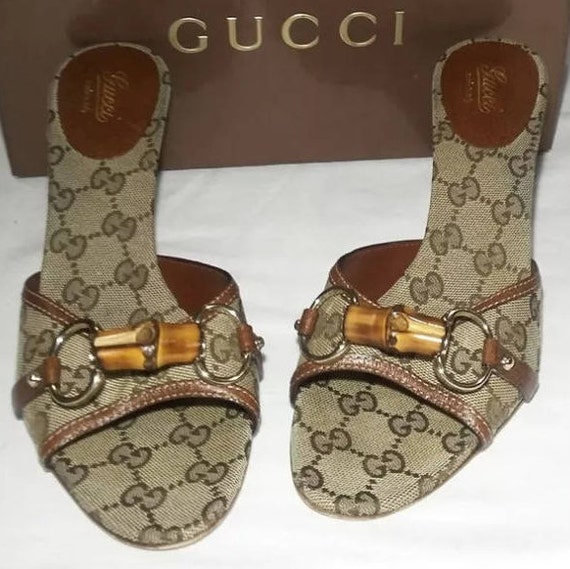 gucci kitten