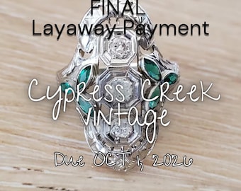 FINAL Layaway for A.C. - No longer available