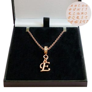 Collar con letras de oro rosa, cualquier colgante inicial en collar de identificación con caja de regalo,
