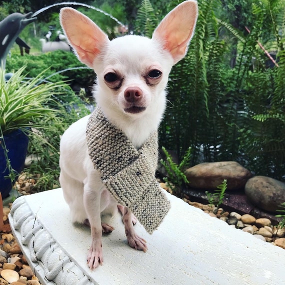 Small Hand Knitted Dog Scarf