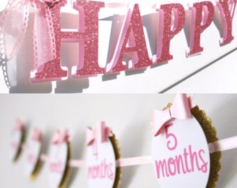 First Year Birthday Banners - 1st Year Girl Birthday Banner - 12 Month Photo Banner - First Year Photo Display