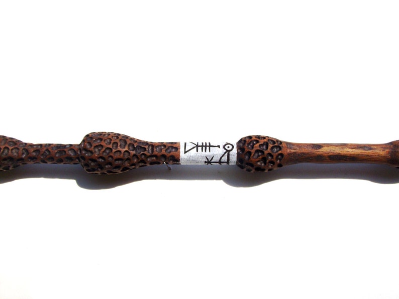 baguette de sureau en bois