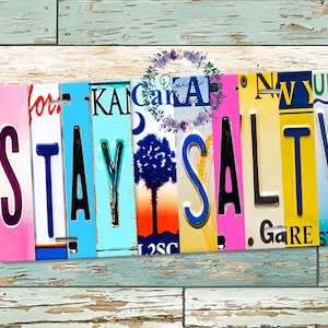 Stay Salty License Plate, Beach Mixed License plates, Realistic looking, not true license plates, License Plate for cruise doors,