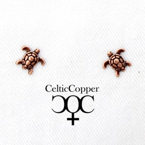 May include: A pair of small copper turtle earrings. The turtles are detailed and have a textured shell.