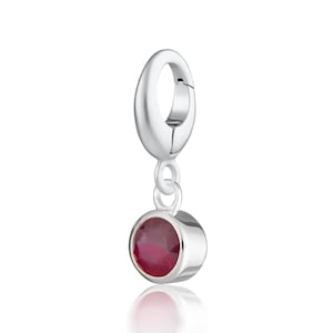 May include: A silver charm with a red gemstone. The charm has a loop on the top for attaching to a bracelet or necklace.