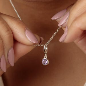 February Birthstone Charm Necklace, Amethyst birthstone necklace, Birthstone jewelry for February, February birthday gift, Amethyst charm