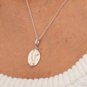 Sterling Silver Scorpio Zodiac Necklace - October or November Birthday Gift - Scorpio Star Sign - Zodiac Jewelry