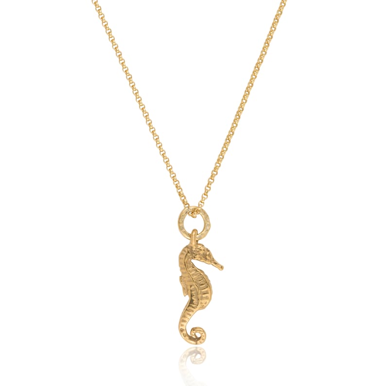 Seahorse pendant image 2