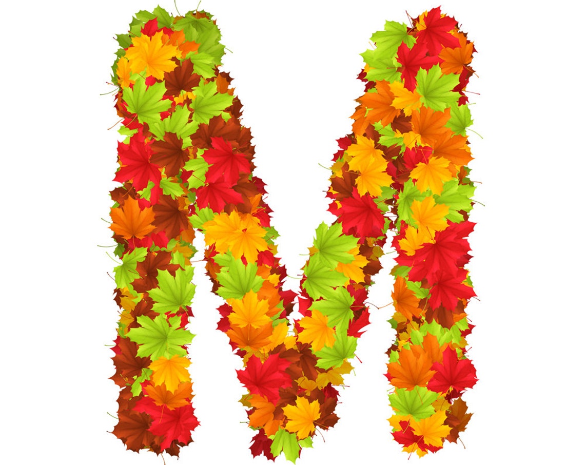Digital Autumn Maple Leaves Alphabet Floral Alphabet Maple Etsy