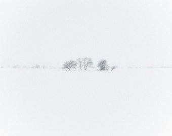 White Out - Minimal Photography