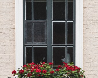 Window with Geraniums - Old Quebec City - 8x10 Photography Print