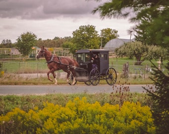 Sunday Afternoon Company - 8x10 - Canvas Photography Print