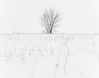 Secluded - Minimalism - 8x10 Photography Print