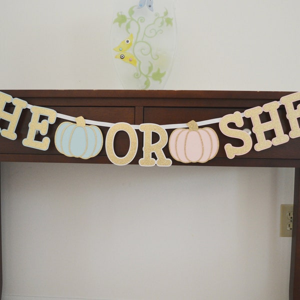 He or She Pumpkin Banner - Gender Reveal Baby Shower - Little Pumpkin Decoration - Fall Baby Sprinkle - Thanksgiving Party  - Boy or Girl