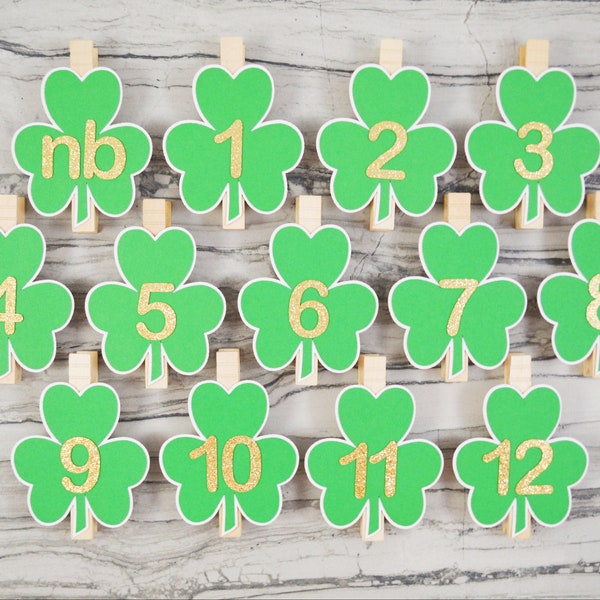 Shamrock First Birthday Photo Clips, St Patricks Day 1st Birthday Party, Lucky One Theme, Nb to 12 Months Pictures, First Year Photo Banner